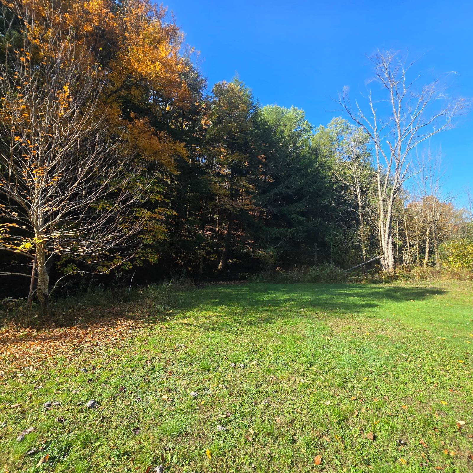 #13 photo, 7876 Woodcock Dr, Greig , NY 13345