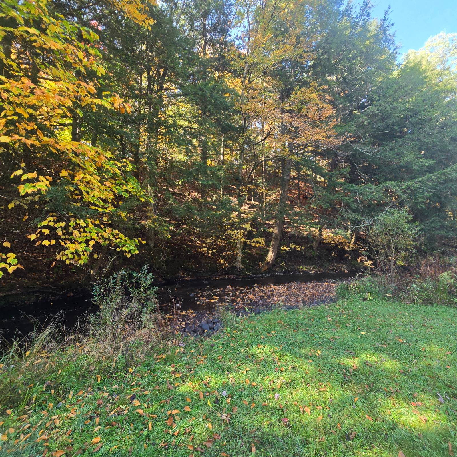 #15 photo, 7876 Woodcock Dr, Greig , NY 13345