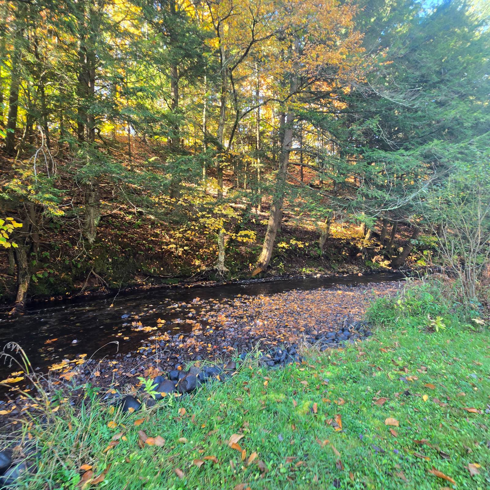 #16 photo, 7876 Woodcock Dr, Greig , NY 13345