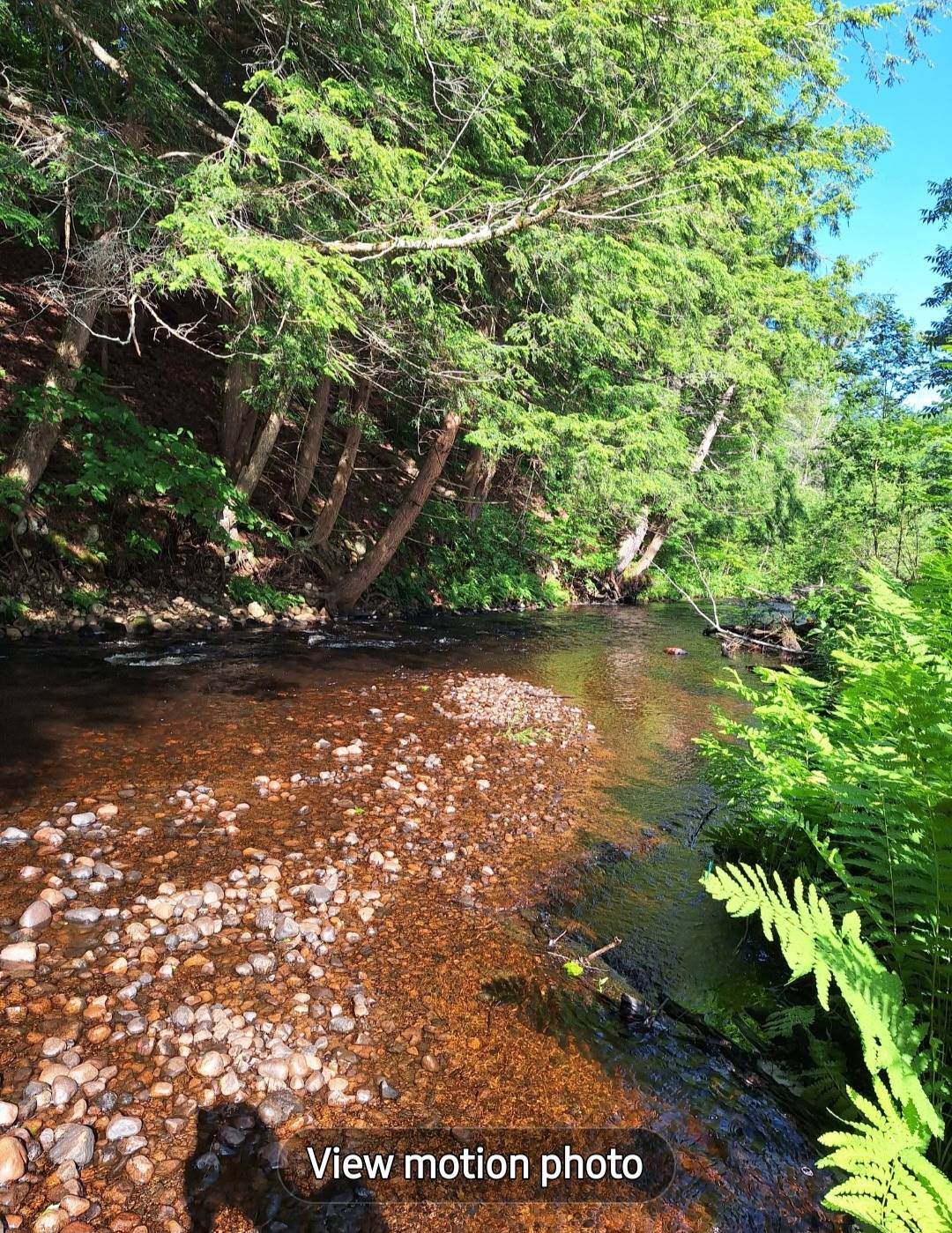 #38 photo, 7876 Woodcock Dr, Greig , NY 13345