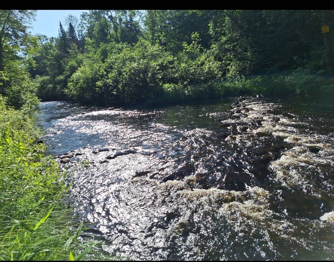 #39 photo, 7876 Woodcock Dr, Greig , NY 13345