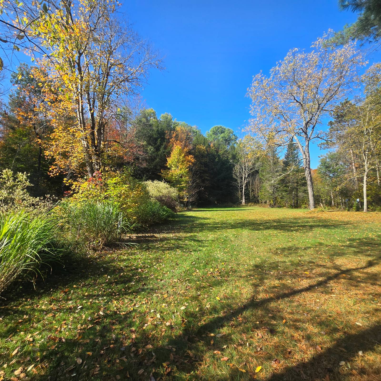 #7 photo, 7876 Woodcock Dr, Greig , NY 13345