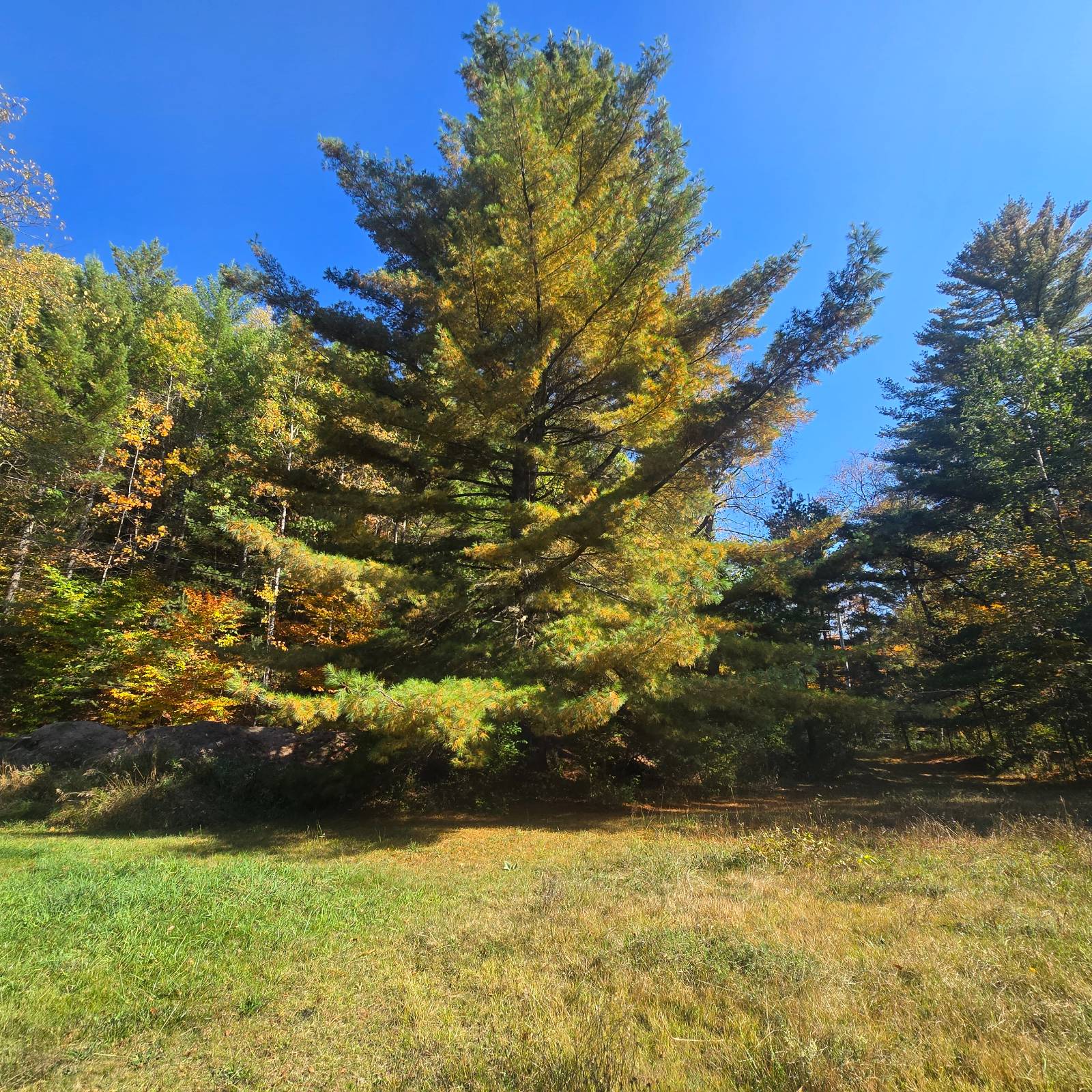 #8 photo, 7876 Woodcock Dr, Greig , NY 13345