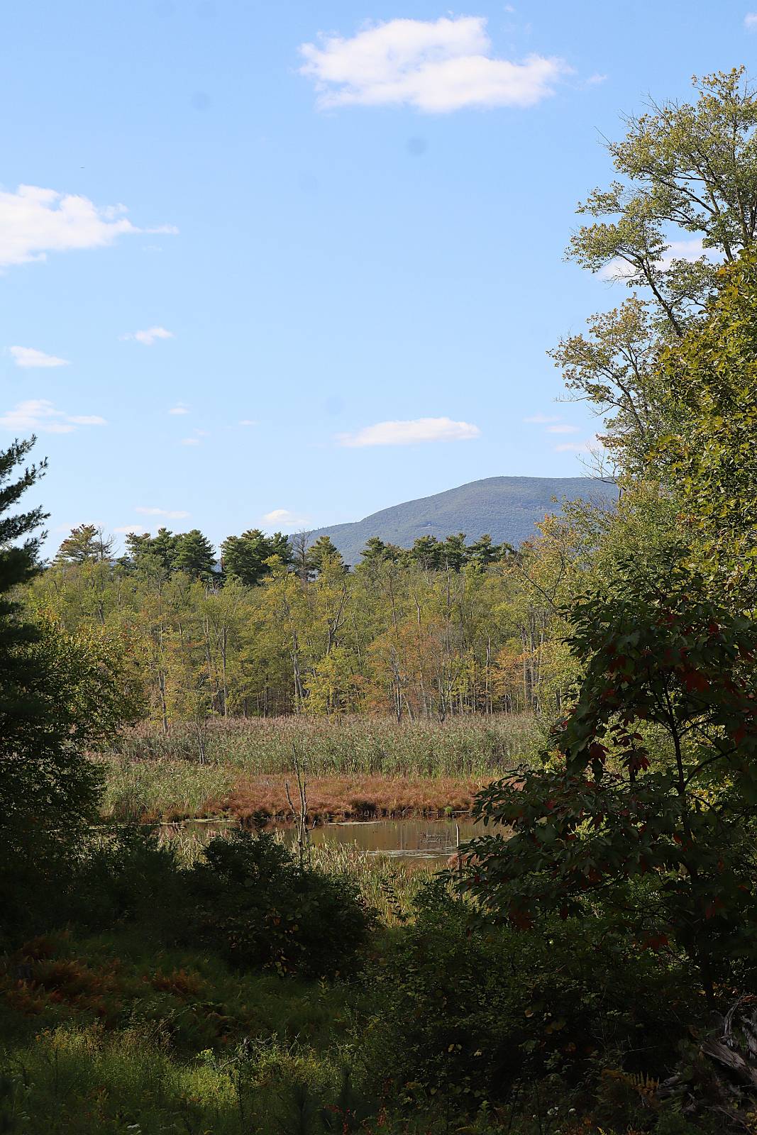 #32 photo, 132 Dutchtown Road, Saugerties , NY 12477