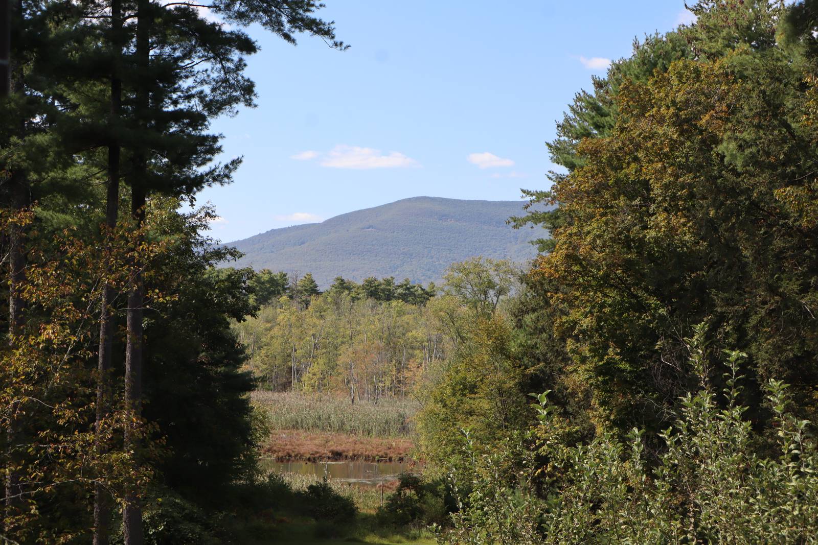 #37 photo, 132 Dutchtown Road, Saugerties , NY 12477