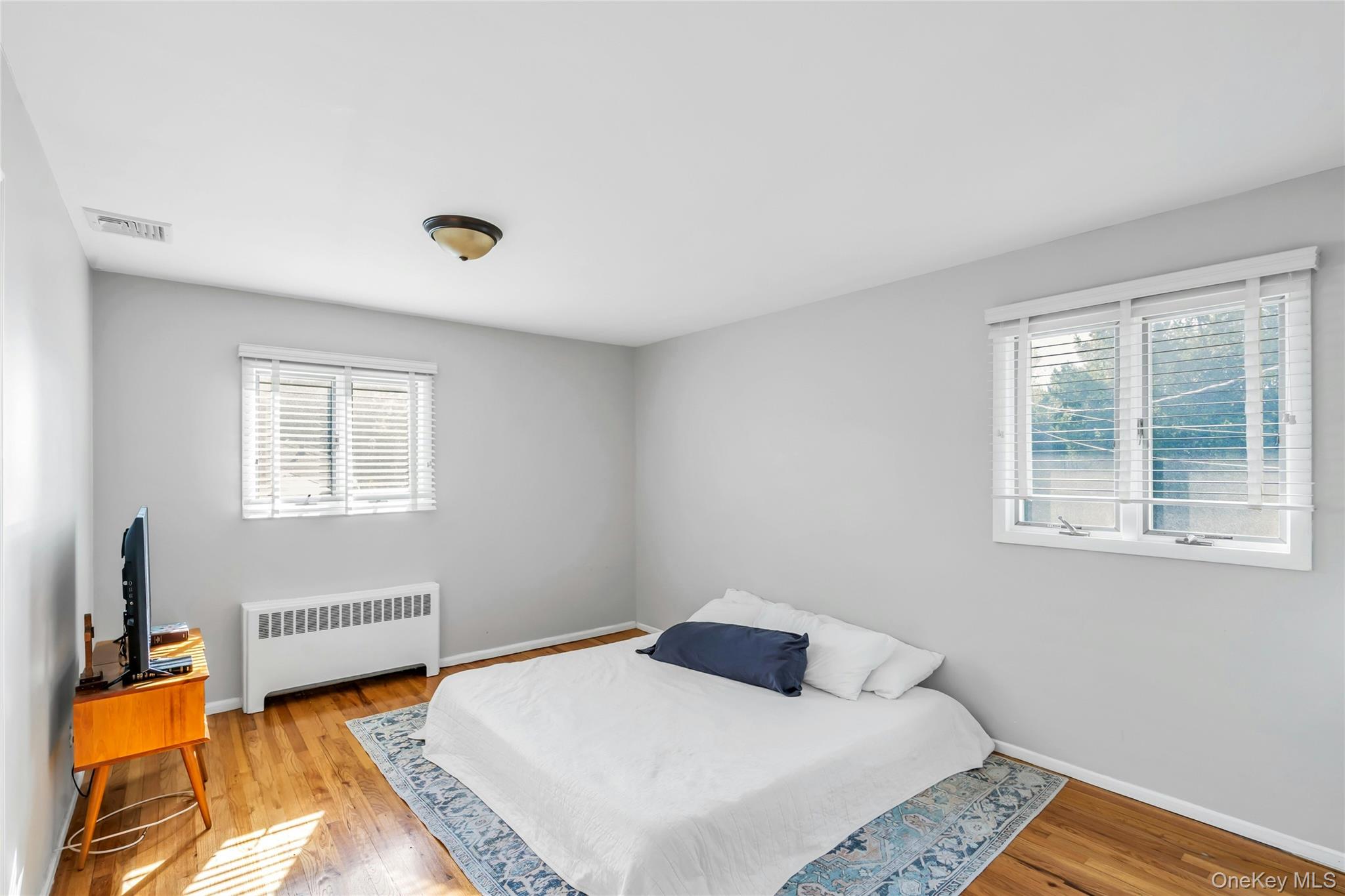 #10 photo, 18 Haypath Road, Bethpage , NY 11714