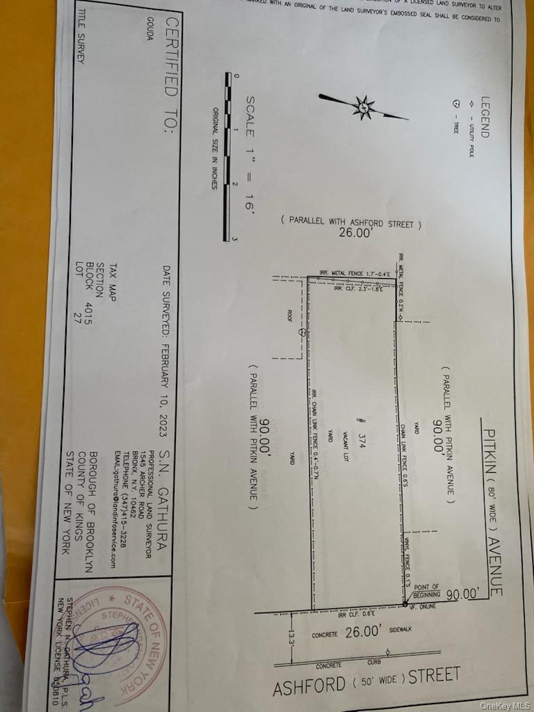 #7 photo, 374 Ashford Street, ブルックリン区 Brooklyn , NY 11207