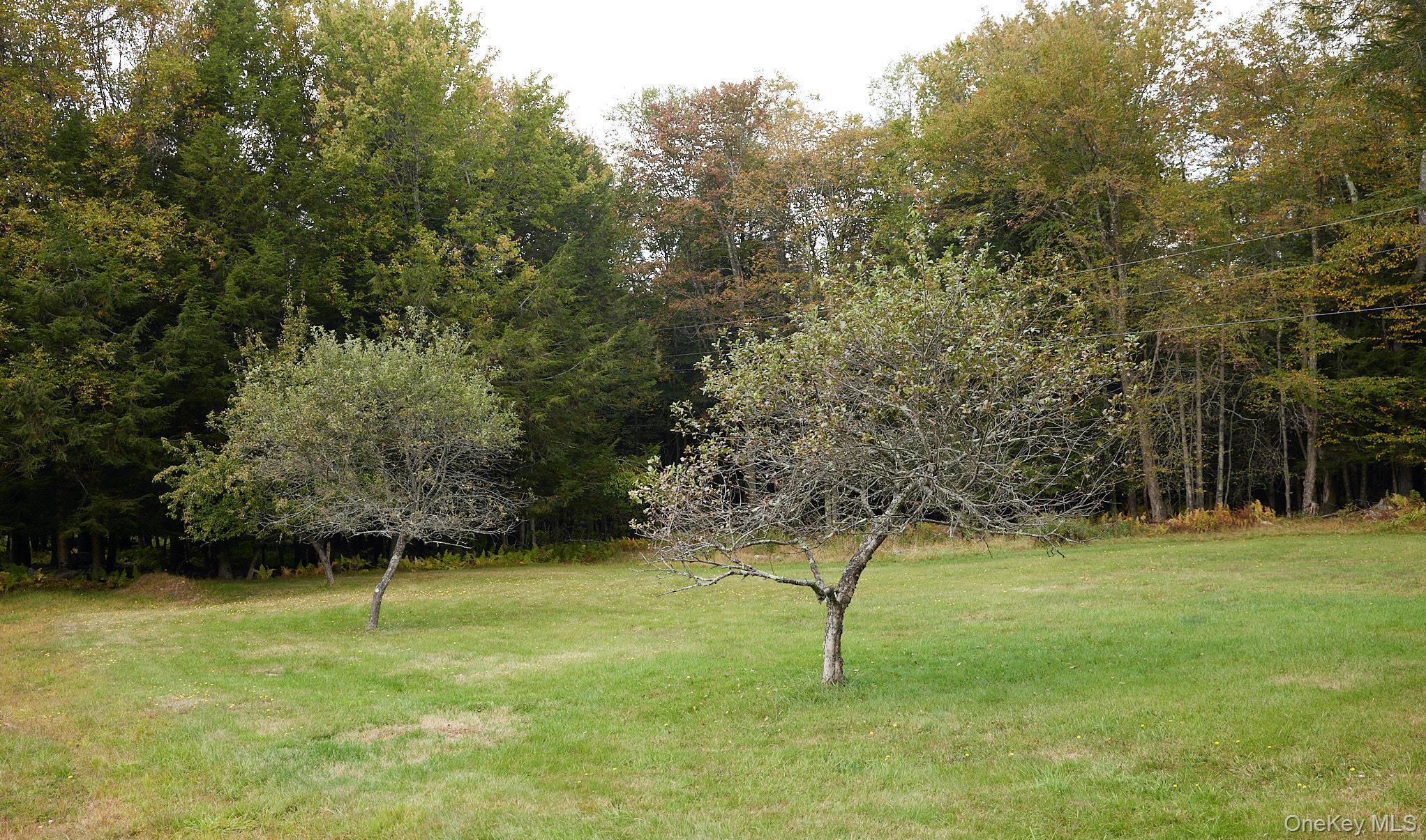 #11 photo, 480 Breezy Hill Road, Middletown , NY 12768