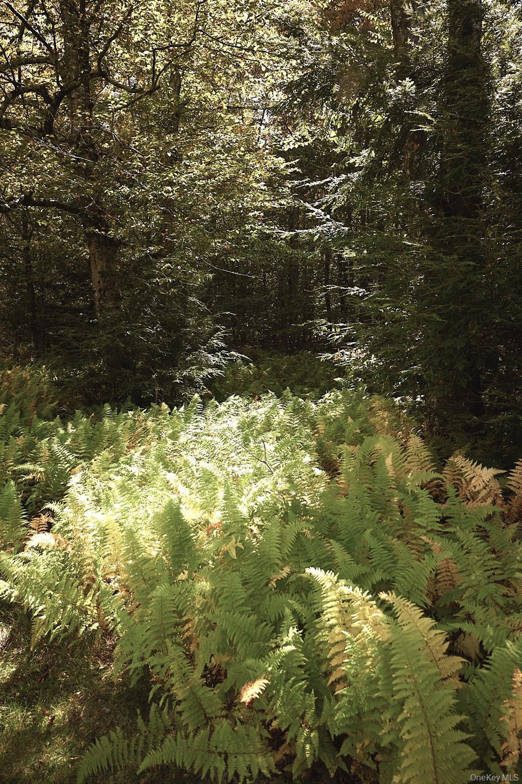 #12 photo, 480 Breezy Hill Road, Middletown , NY 12768