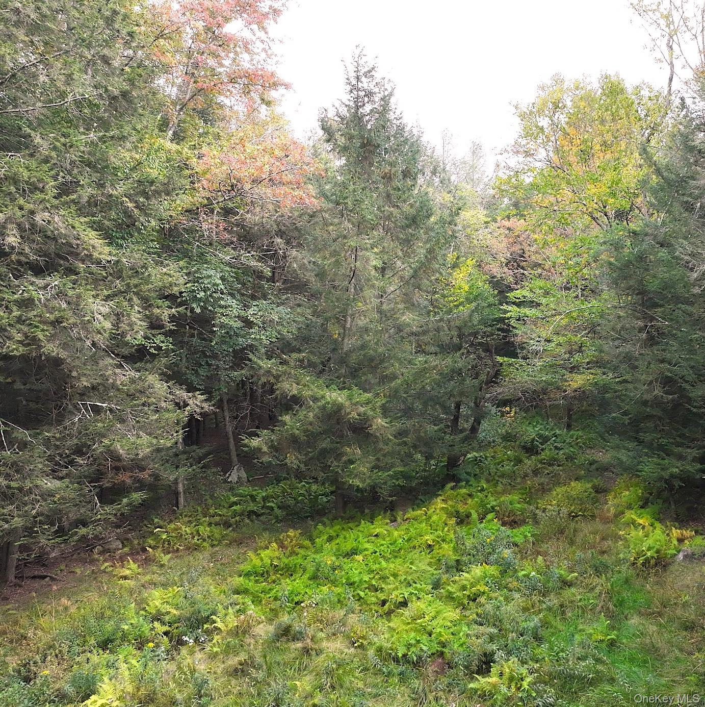 #19 photo, 480 Breezy Hill Road, Middletown , NY 12768