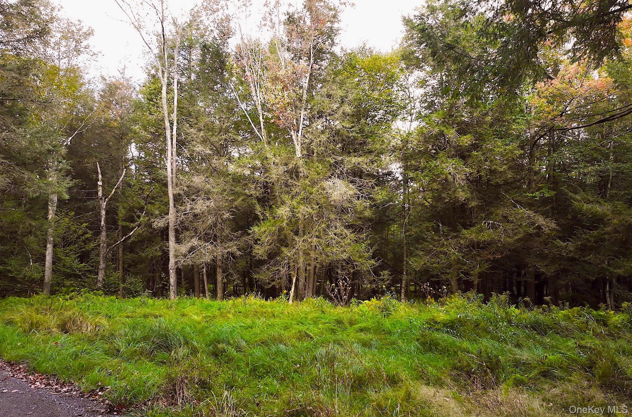 #20 photo, 480 Breezy Hill Road, Middletown , NY 12768