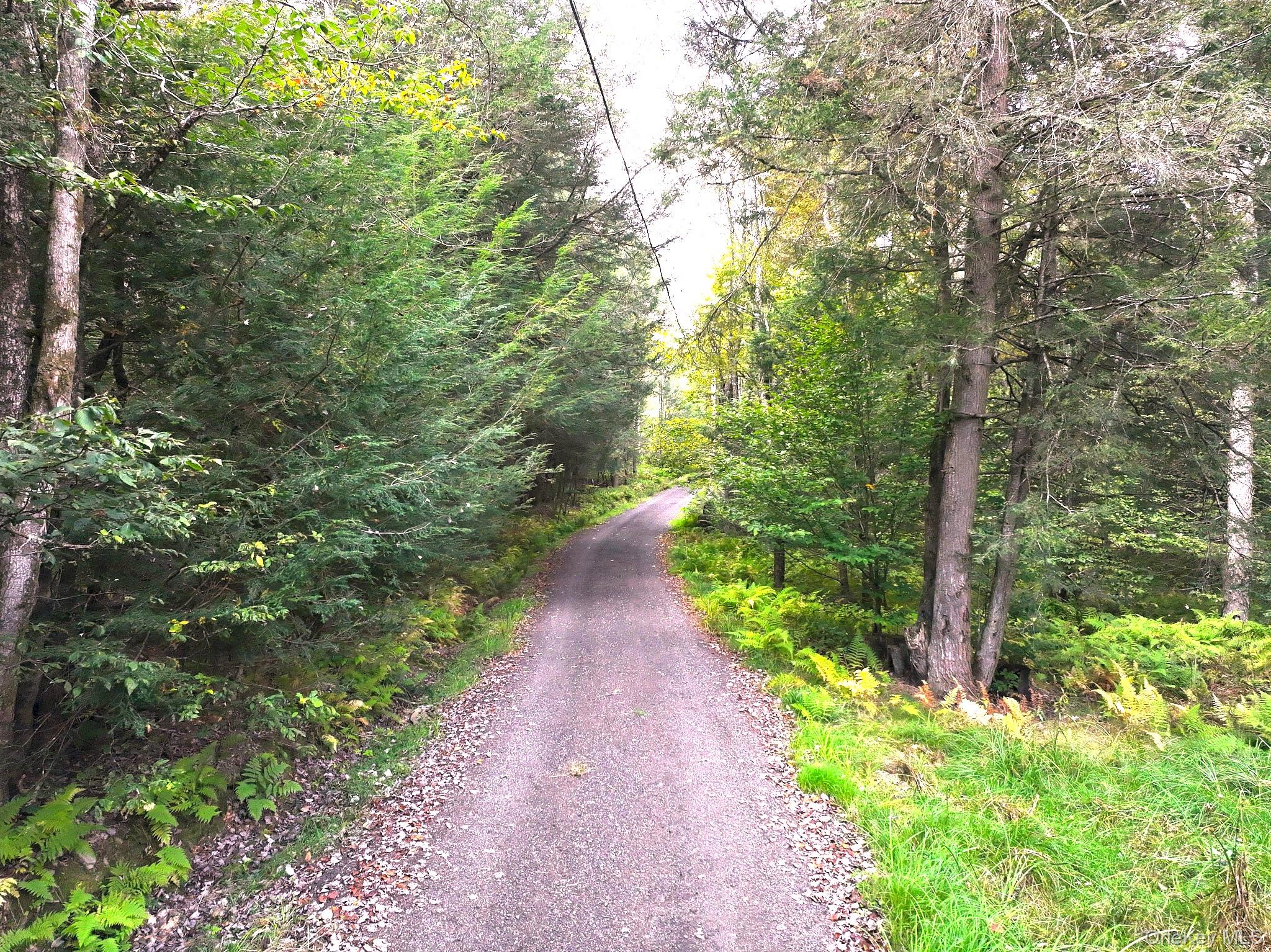 #5 photo, 480 Breezy Hill Road, Middletown , NY 12768