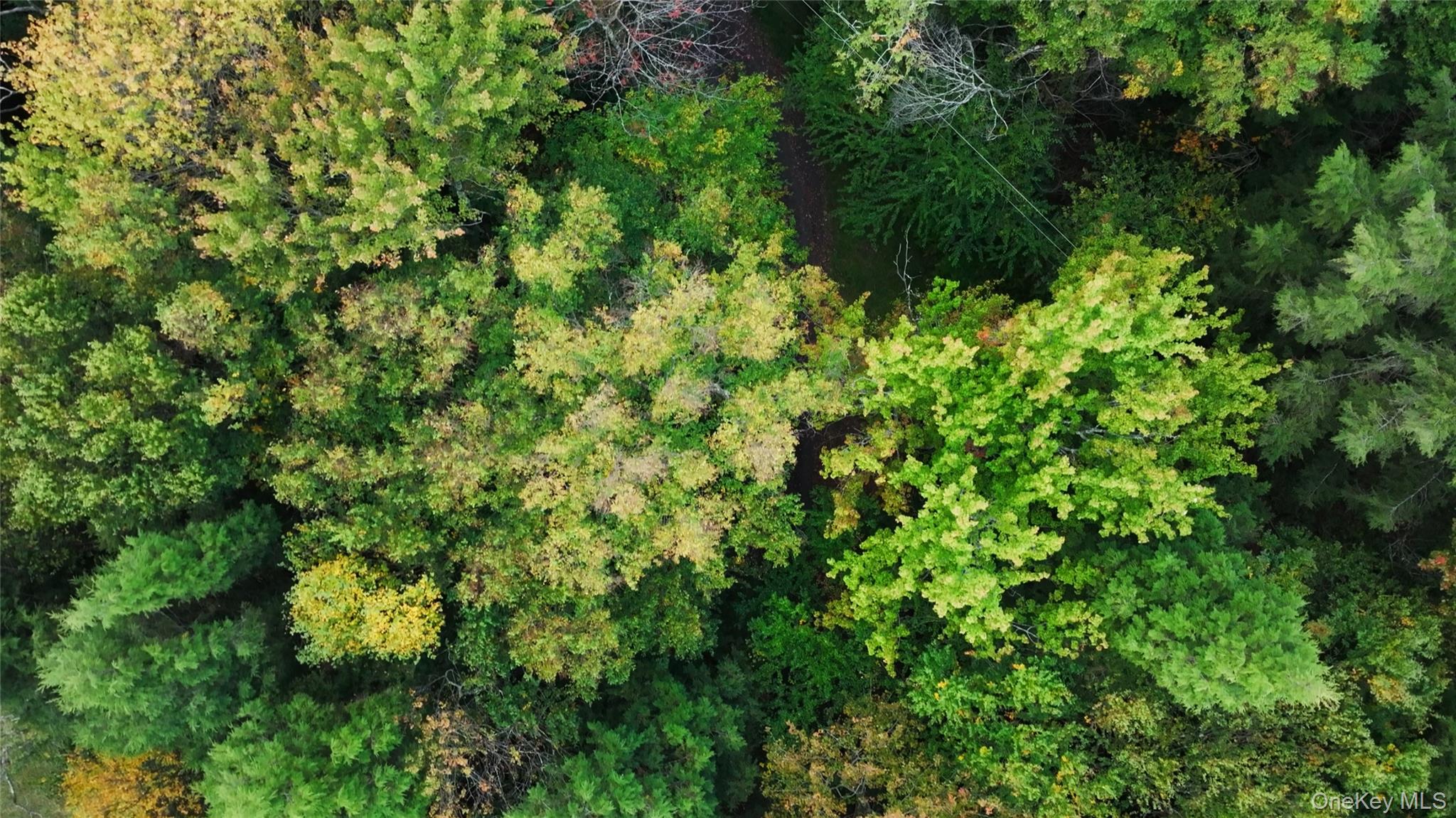 #8 photo, 480 Breezy Hill Road, Middletown , NY 12768