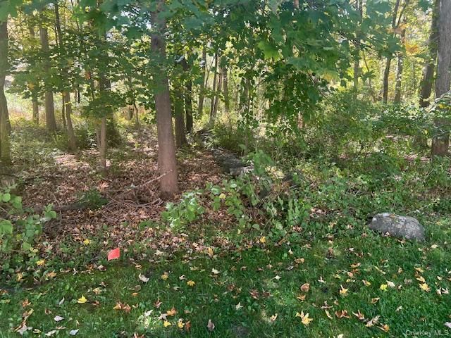 #3 photo, Lot 27 Cobblers Way, Cortlandt Manor , NY 10567