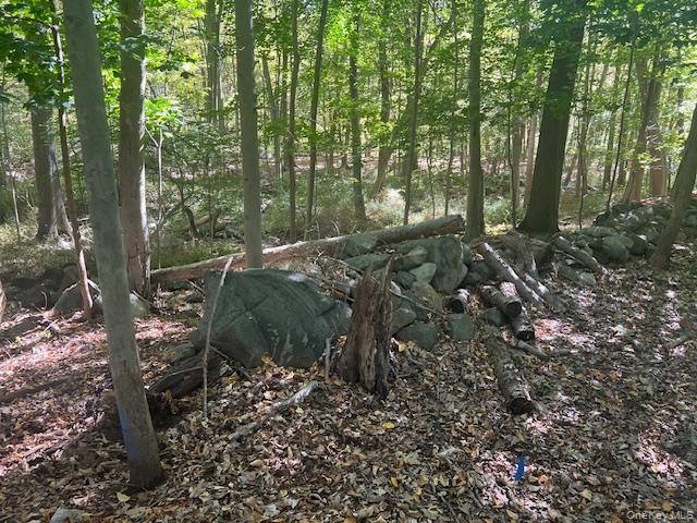 #6 photo, Lot 16 Buttonwood Avenue, Cortlandt Manor , NY 10567