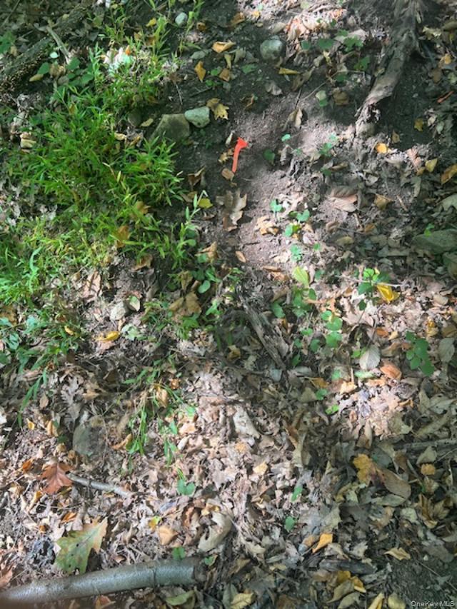 #8 photo, Lot 16 Buttonwood Avenue, Cortlandt Manor , NY 10567