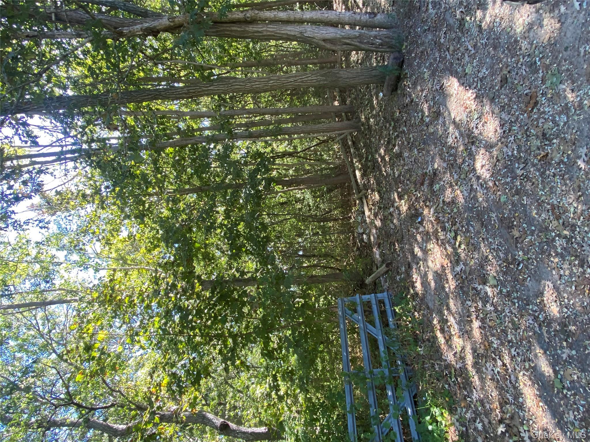 #3 photo, N Ocean Avenue, サフォーク郡 Patchogue , NY 11772