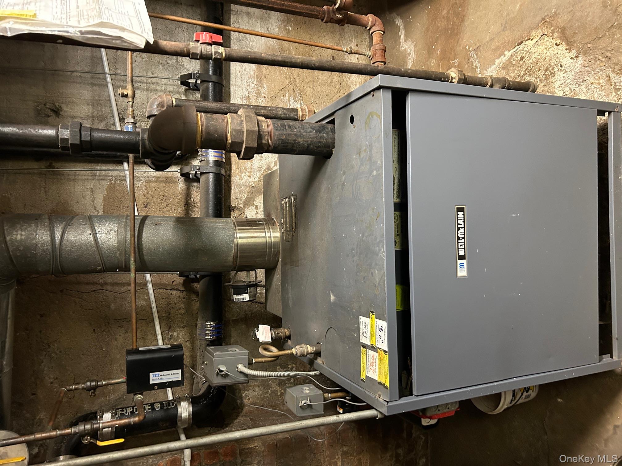 #14 photo, 226 Kings Hwy, ブルックリン区 Brooklyn , NY 11223