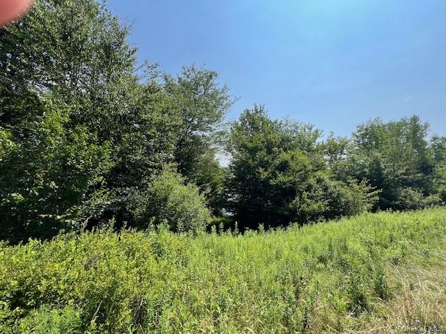 #4 photo, Lot 68 Shore Road, Swan Lake , NY 12783