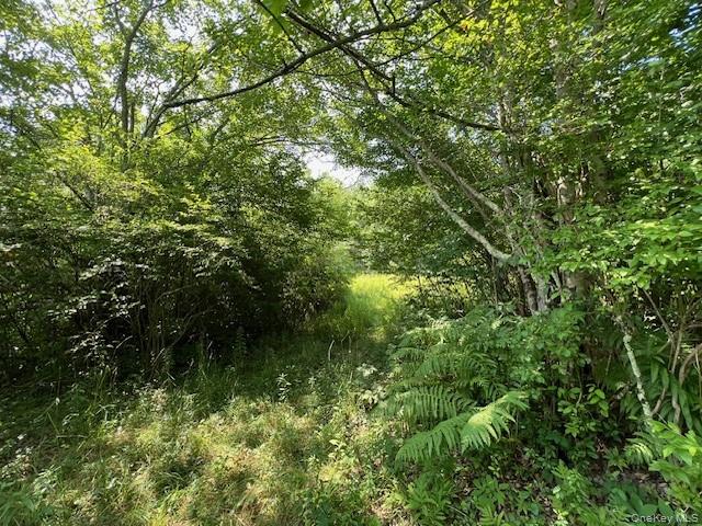 #6 photo, Lot 68 Shore Road, Swan Lake , NY 12783