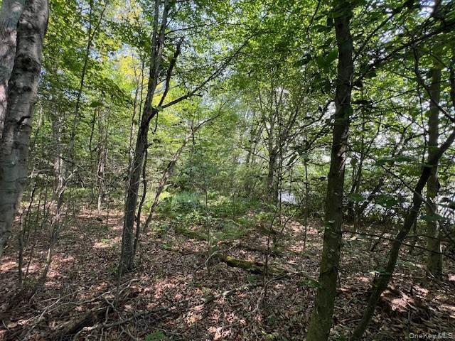 #7 photo, Lot 68 Shore Road, Swan Lake , NY 12783