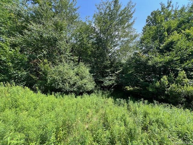 #8 photo, Lot 68 Shore Road, Swan Lake , NY 12783