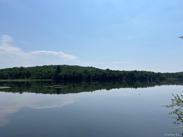 #9 photo, Lot 68 Shore Road, Swan Lake , NY 12783