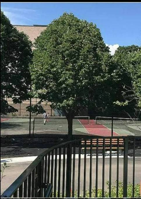 #7 photo, 1730 E. 14TH ST., #4K, Homecrest , NY 11229