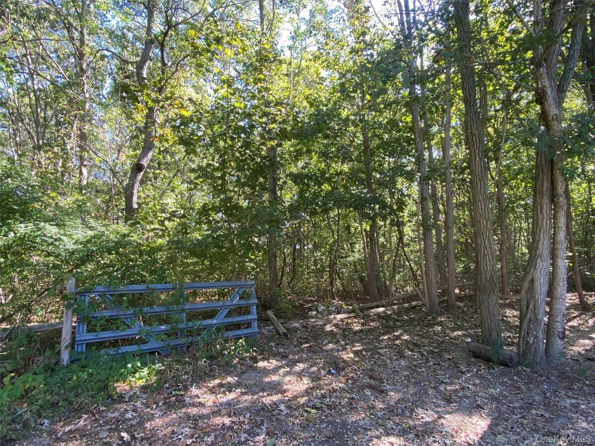 #1 photo, N Ocean Avenue, サフォーク郡 Patchogue , NY 11772