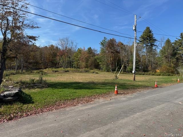 #5 photo, 55 Foss Road, Monticello , NY 12701