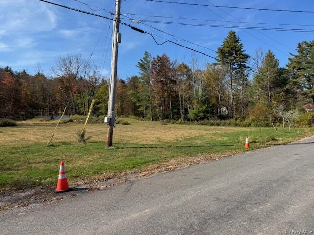 #8 photo, 55 Foss Road, Monticello , NY 12701