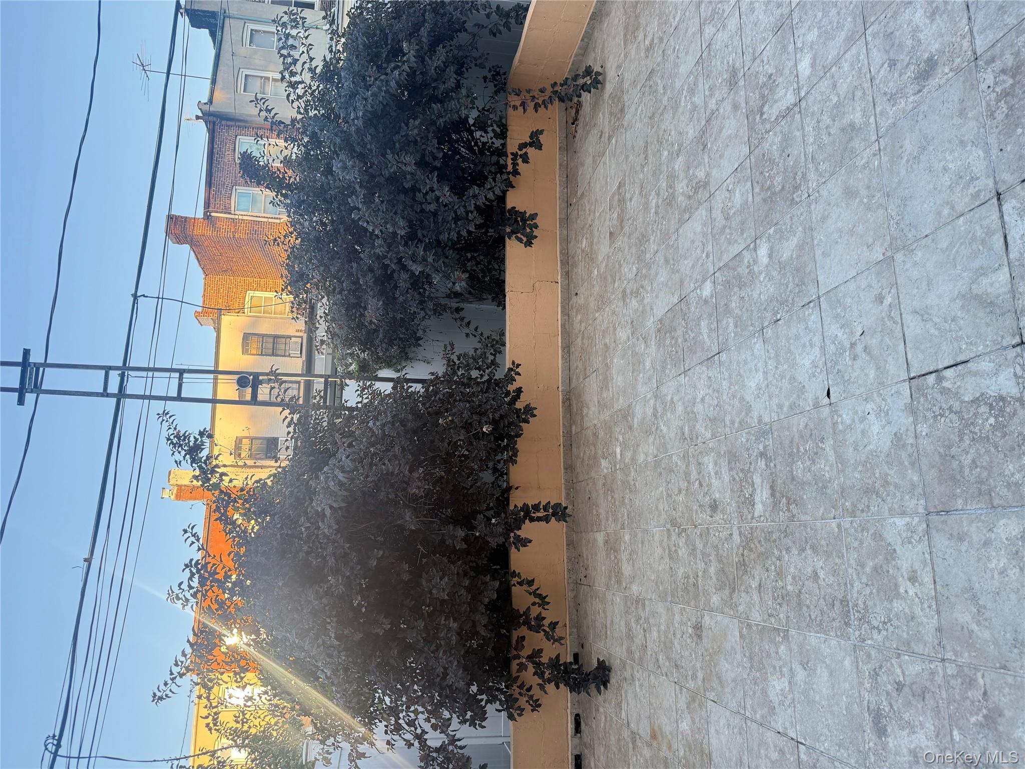 #10 photo, 273 Grant Avenue, Brooklyn , NY 11208