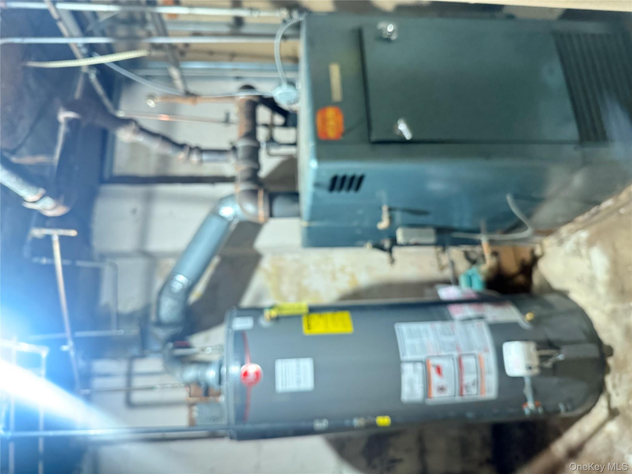 #11 photo, 273 Grant Avenue, Brooklyn , NY 11208