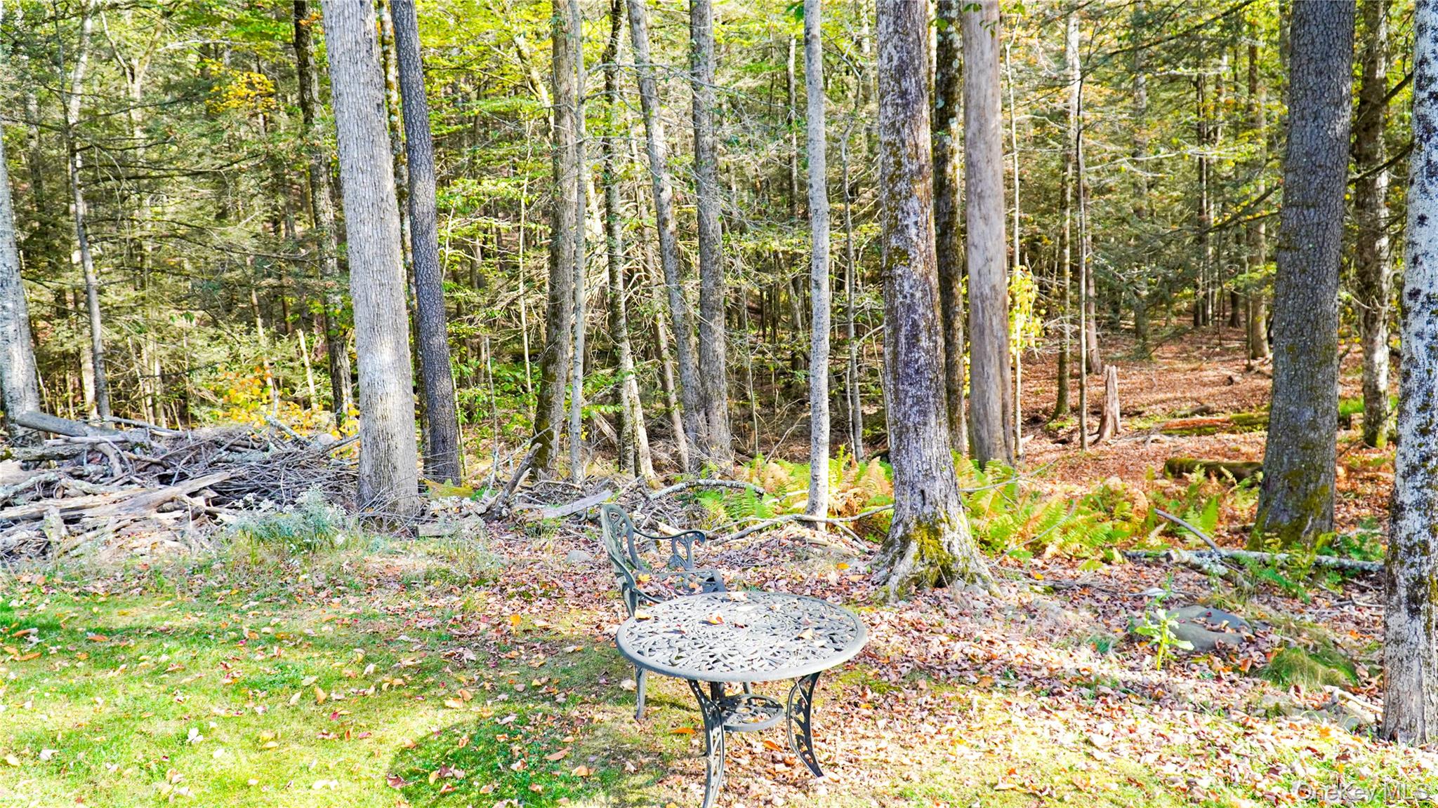 #16 photo, 186 Schumway Road, Neversink , NY 12765