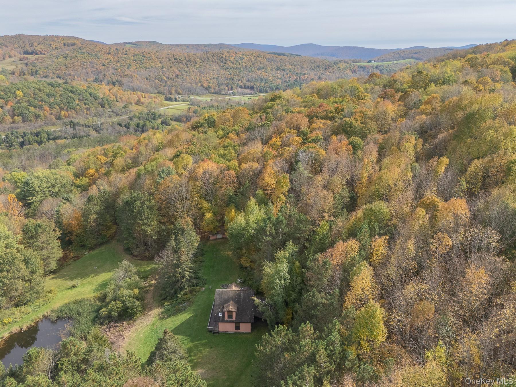 #5 photo, 515 Magic Mountain Road, Bloomville , NY 13739