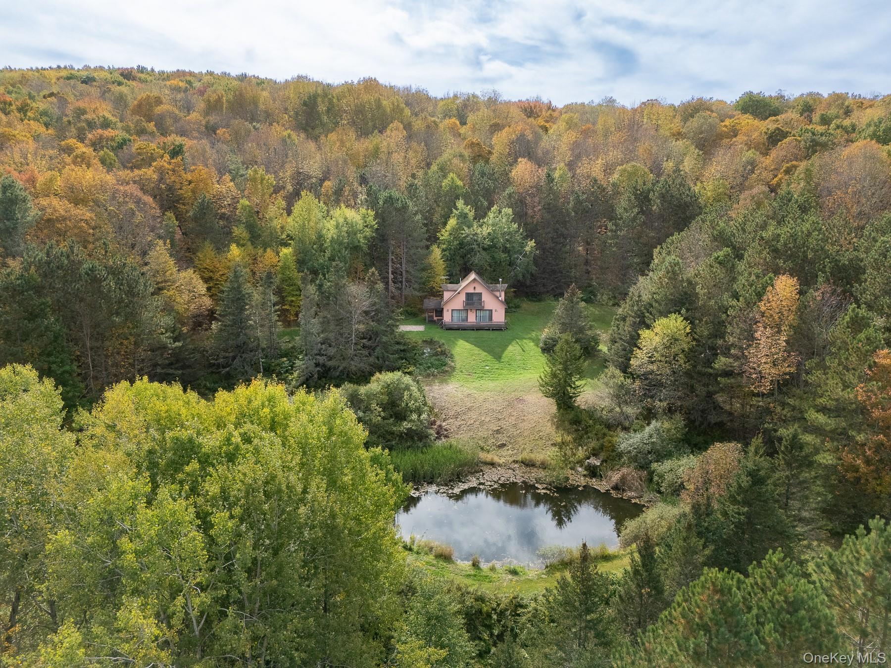 #7 photo, 515 Magic Mountain Road, Bloomville , NY 13739
