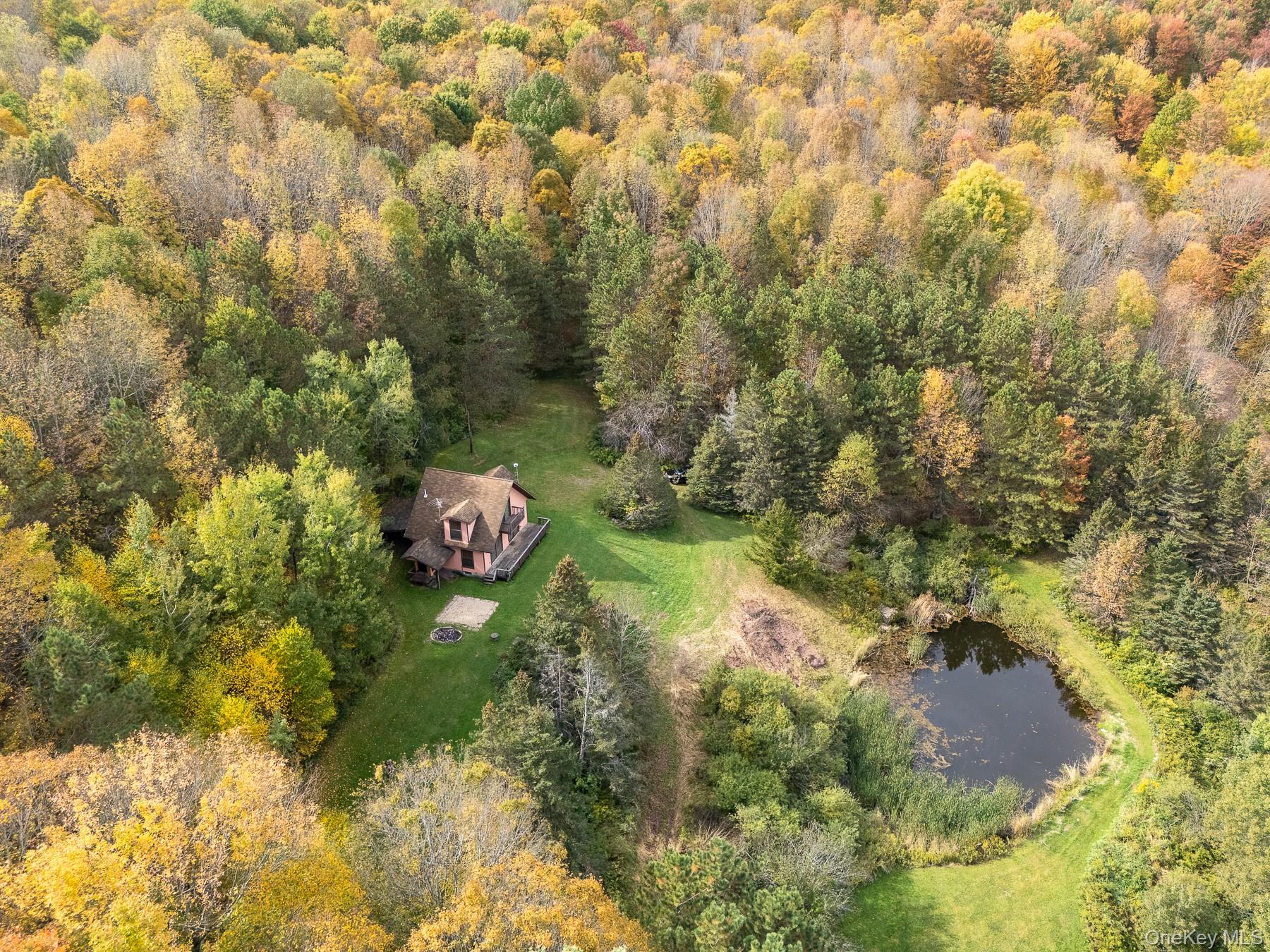 #8 photo, 515 Magic Mountain Road, Bloomville , NY 13739