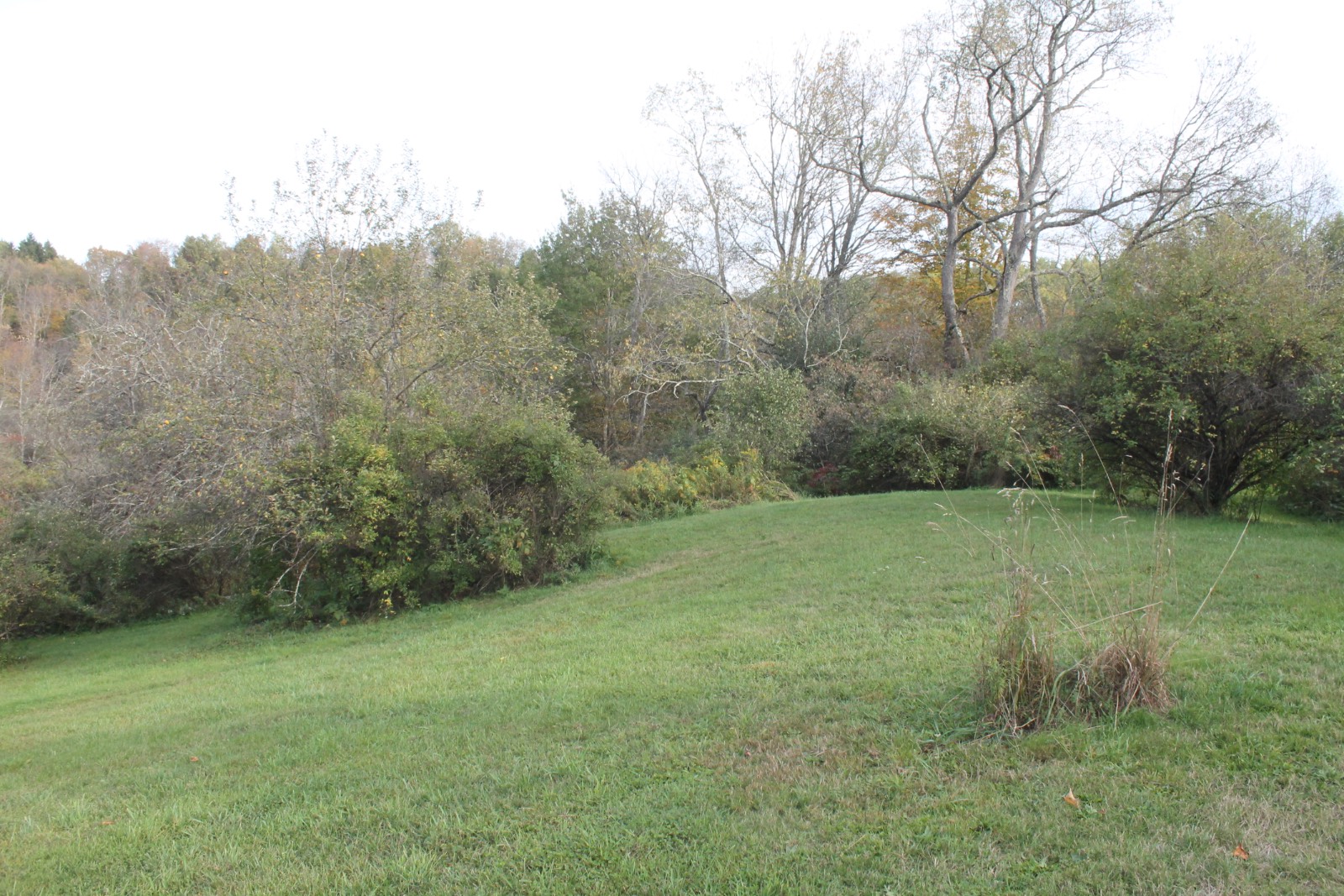 #13 photo, 6058 St Hwy 51, Burlington Flats , NY 13315