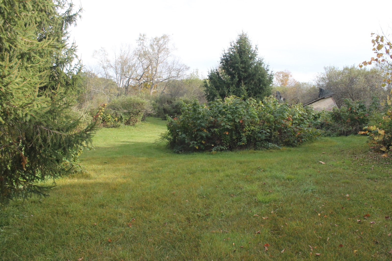 #14 photo, 6058 St Hwy 51, Burlington Flats , NY 13315