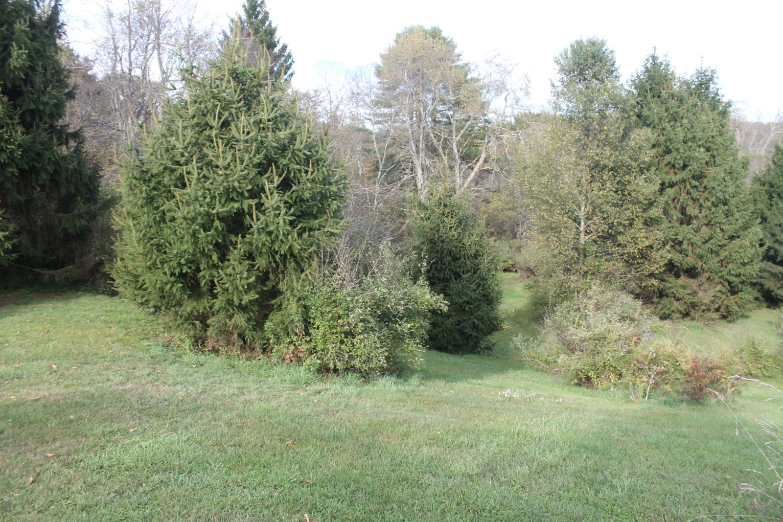 #15 photo, 6058 St Hwy 51, Burlington Flats , NY 13315