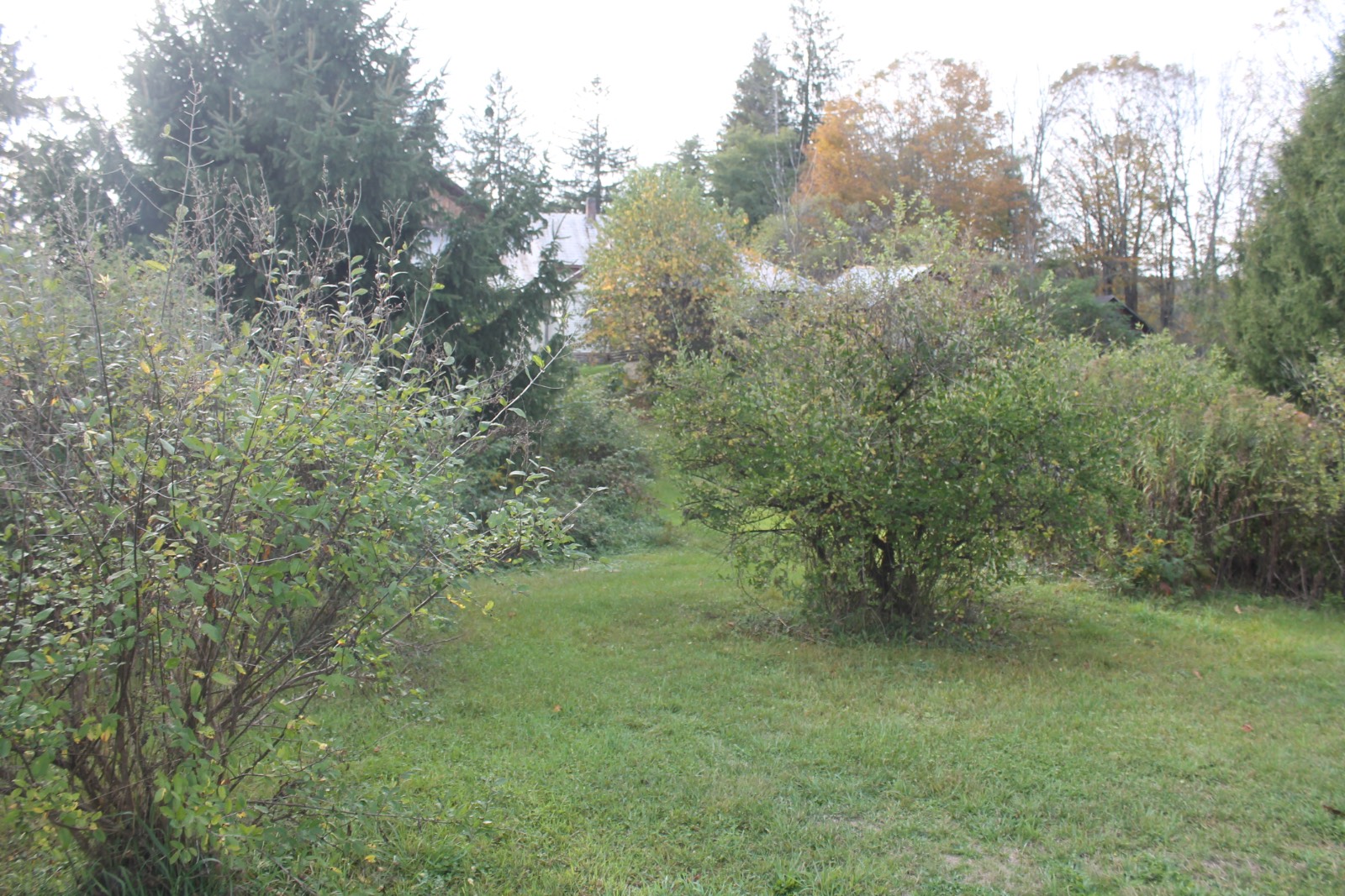 #16 photo, 6058 St Hwy 51, Burlington Flats , NY 13315