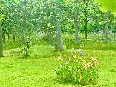 #7 photo, 12 Linden Avenue, Cooperstown , NY 13326