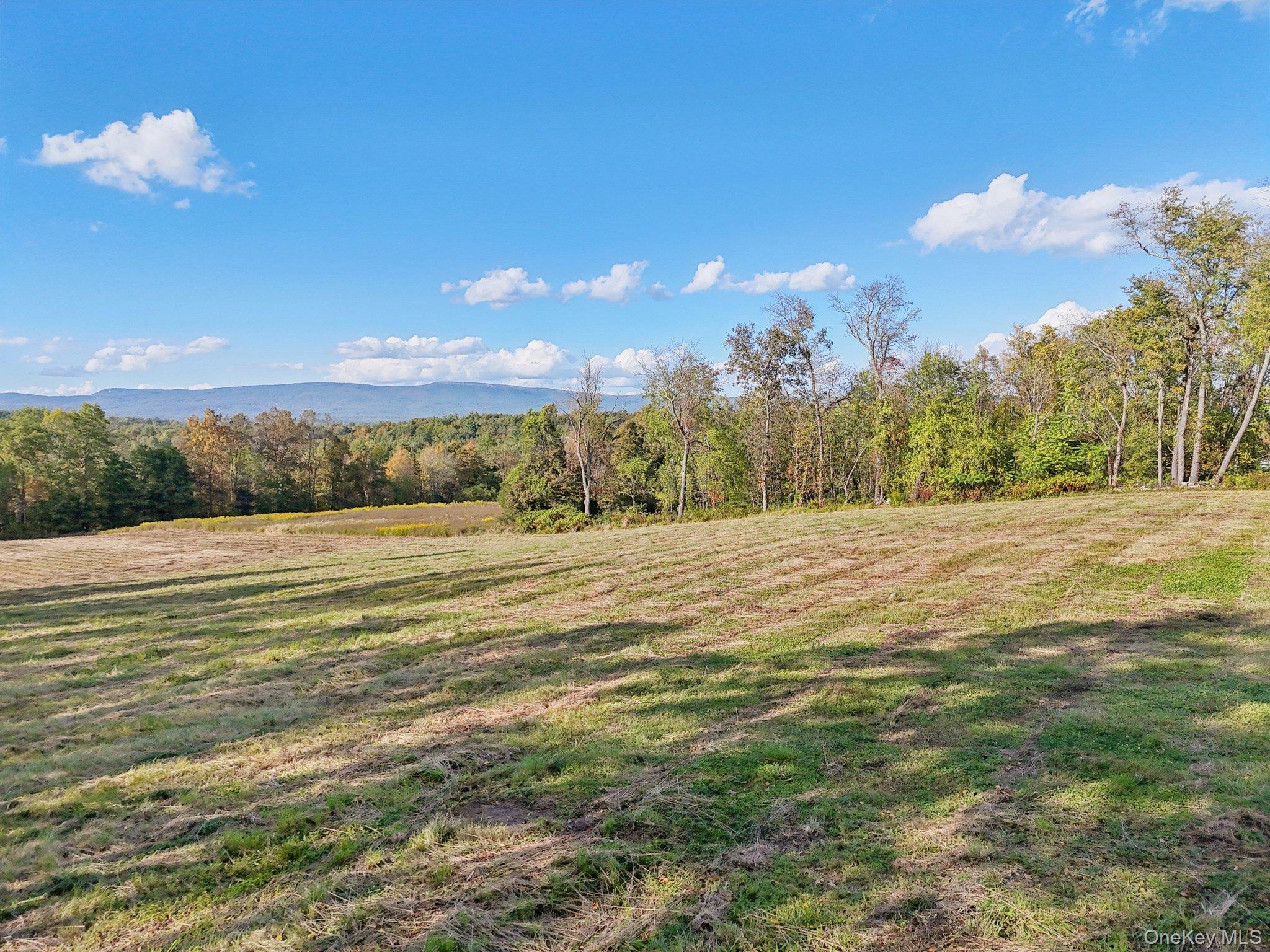 #1 photo, 728 State Route 302, Pine Bush , NY 12566