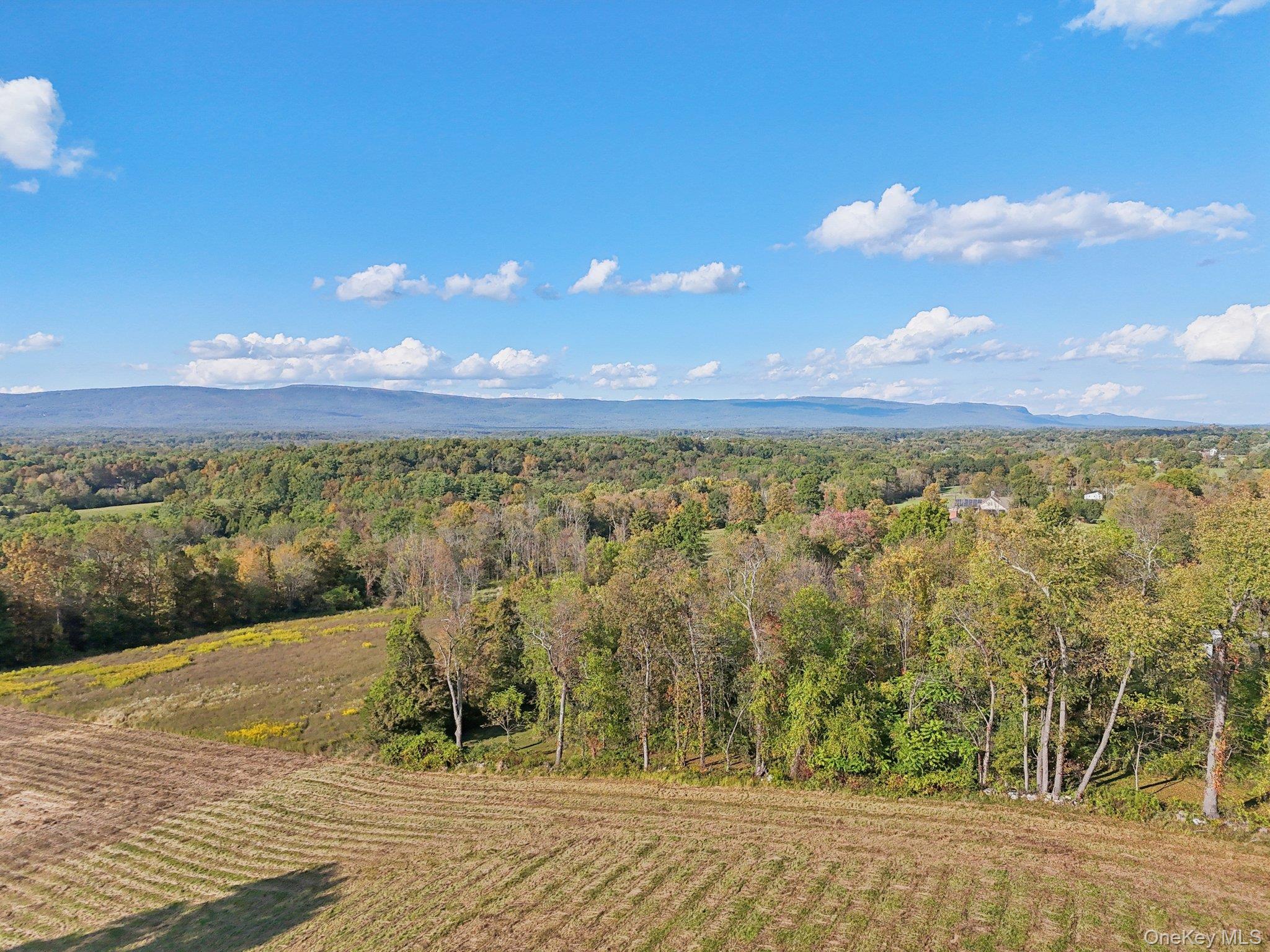 #11 photo, 728 State Route 302, Pine Bush , NY 12566