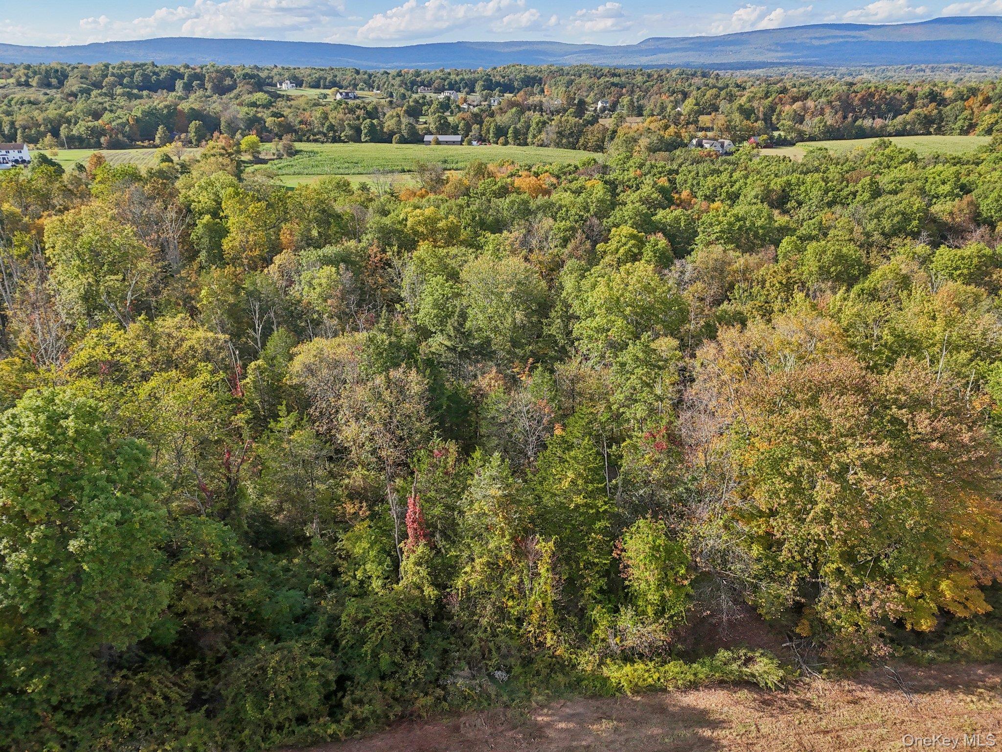 #6 photo, 728 State Route 302, Pine Bush , NY 12566