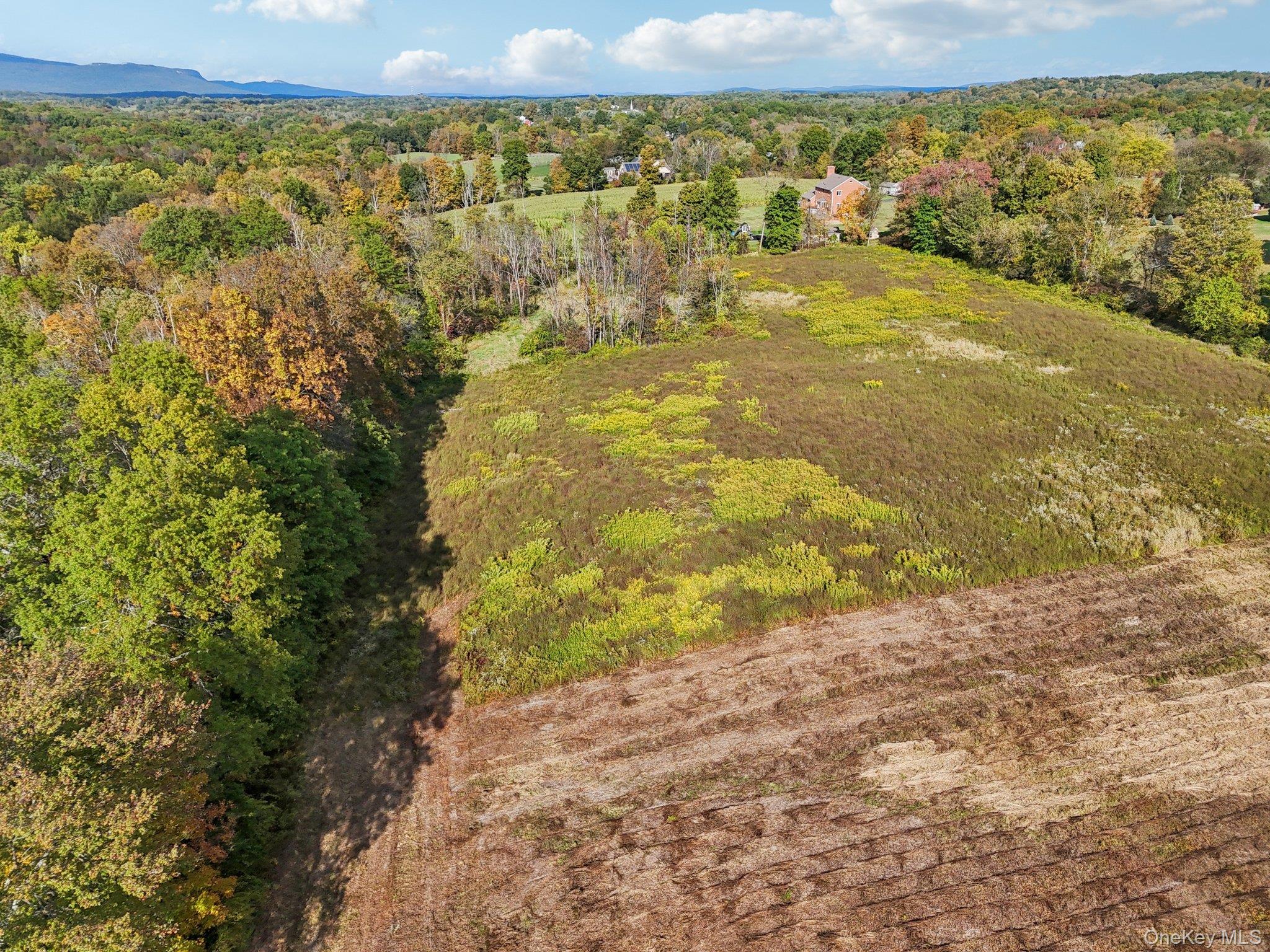 #8 photo, 728 State Route 302, Pine Bush , NY 12566