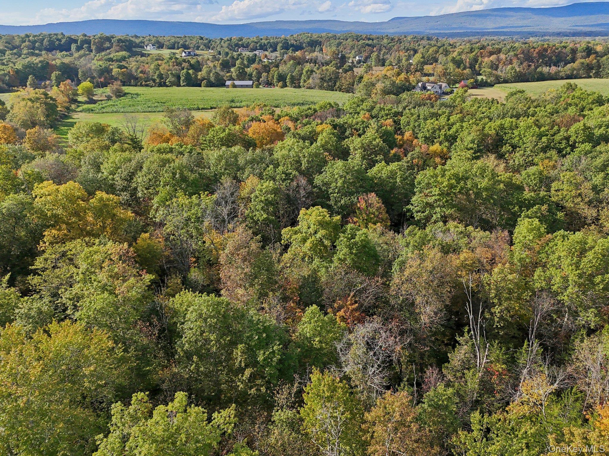 #9 photo, 728 State Route 302, Pine Bush , NY 12566