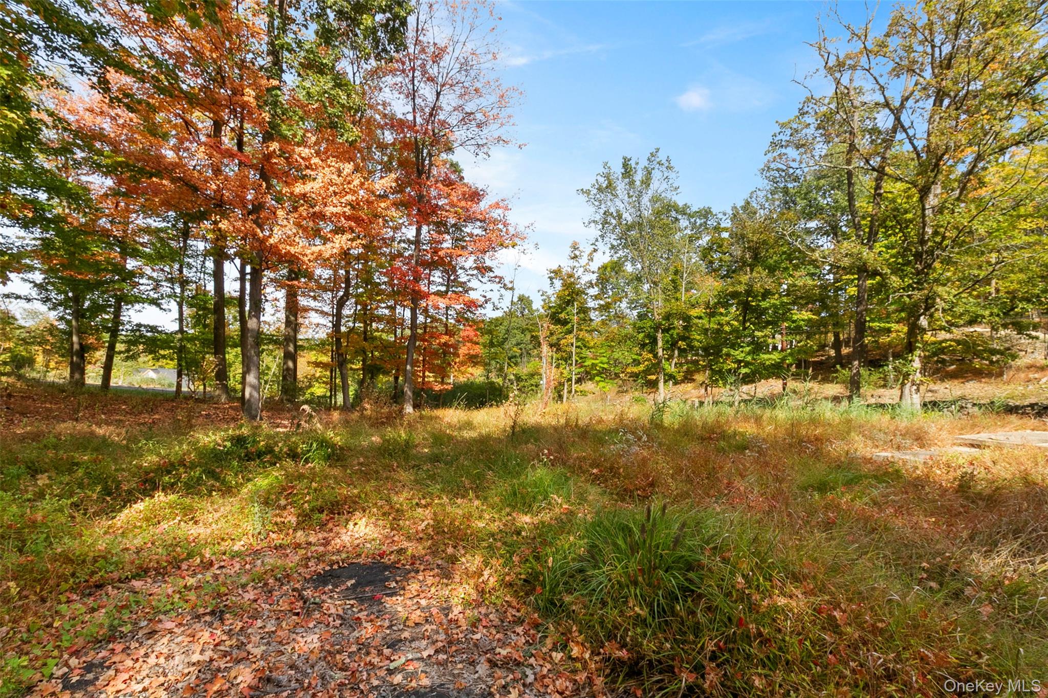 #2 photo, 41 Schuyler Road, Blauvelt , NY 10960