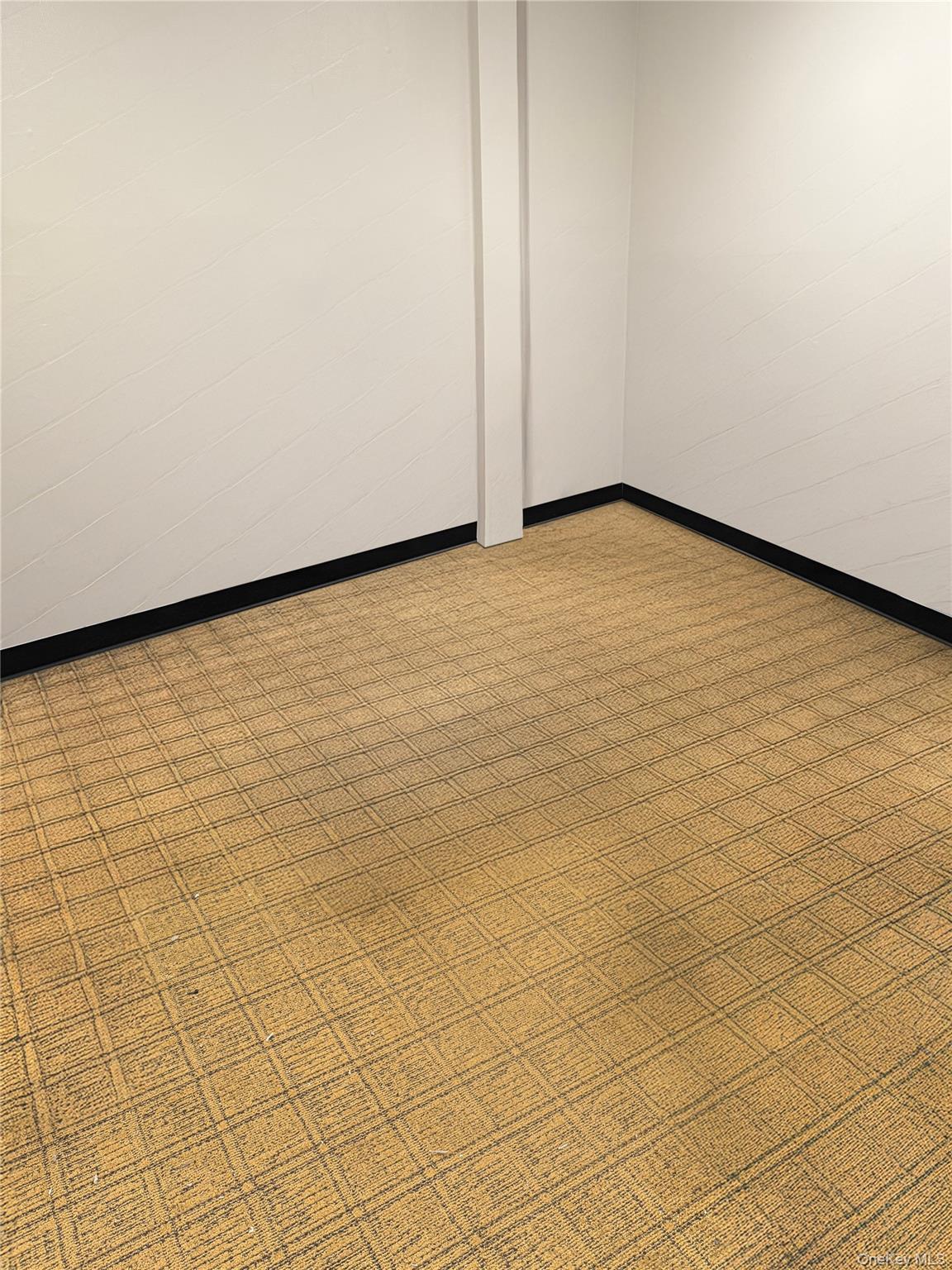 #9 photo, 55 Front Street, ナッソー郡 Rockville Centre , NY 11570