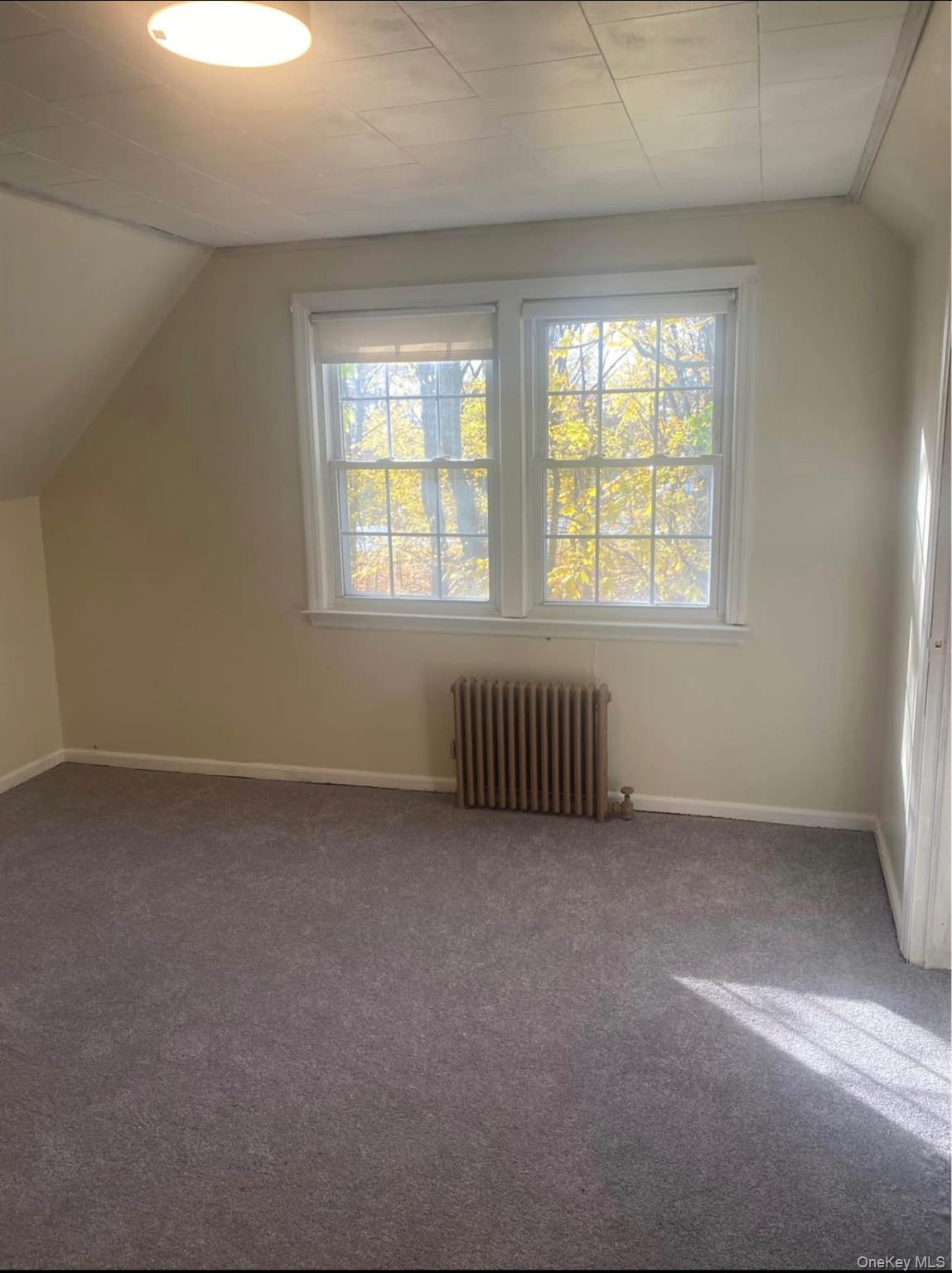 #11 photo, 211 Mineola Avenue, Carle Place , NY 11514